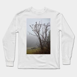 Sumac in fog Long Sleeve T-Shirt